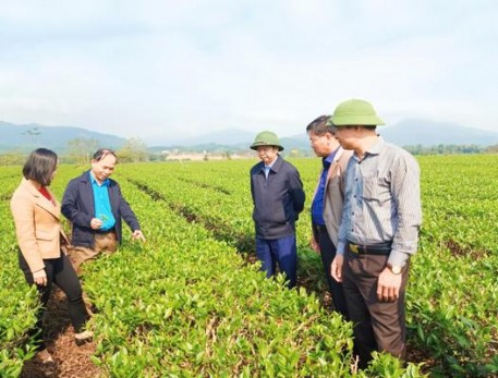 Bí thư Huyện ủy Bùi Nhân Sâm đi thăm và kiểm tra tình hình sản xuất