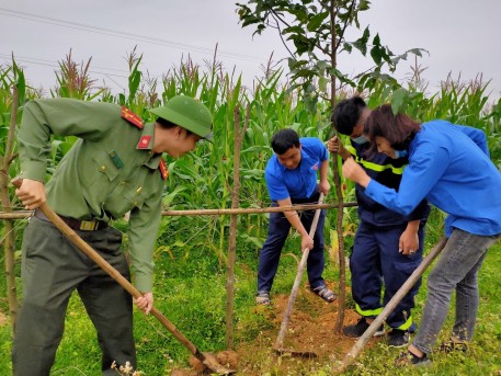 Đoàn Thanh niên Công an Hà Tĩnh, hỗ trợ 100 cây sao đen trồng tại xã Hà Linh