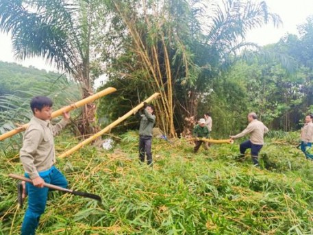 Thị trấn Tây Sơn xây dựng văn minh đô thị