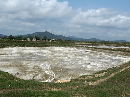 Triển khai công tác kiểm tra môi trường  đầu vụ nuôi tôm năm 2021