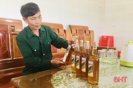 Tháng ba, khi nắng ấm gọi cây cối thức giấc sau mùa đông dài, trên khắp miền quê Vũ Quang (Hà Tĩnh), từng đàn ong lại nối nhau bay đi tìm mật. Và người nuôi ong cũng sẵn sàng cho một mùa “thu hái”.
