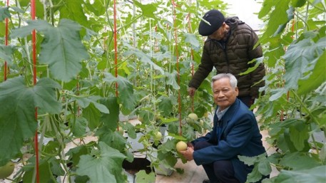 Các đồng chí nguyên lãnh đạo huyện tham quan mô hình phát triển kinh tế, NTM trên địa bàn