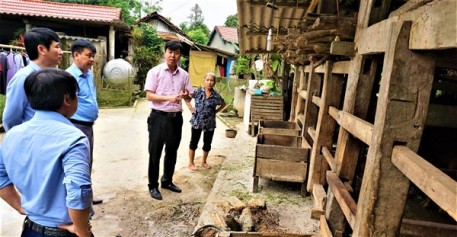 Hương Khê: gần 170 con trâu, bò mắc bệnh Viêm da nổi cục