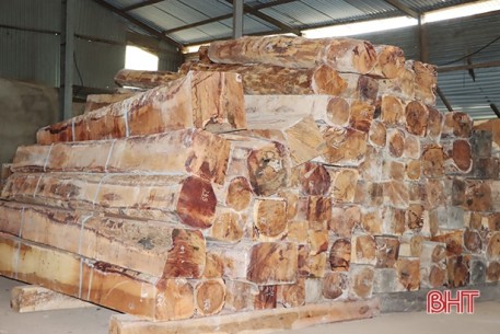 Chính phủ Lào nới lỏng chính sách, doanh nghiệp nhập khẩu gỗ Hà Tĩnh khởi sắc