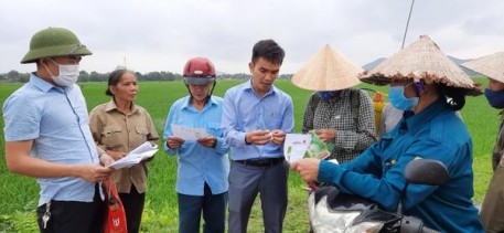 Hương Sơn: Cán bộ kỹ thuật hướng dẫn phòng trừ bệnh đạo ôn trên lúa Xuân