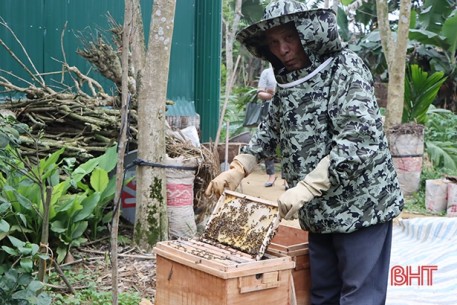Được mùa mật, người nuôi ong quanh hồ Kẻ Gỗ phấn khởi tăng đàn