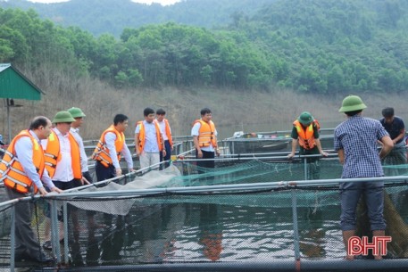 Vũ Quang mong muốn nhân rộng mô hình nuôi cá trong lòng hồ Ngàn Trươi