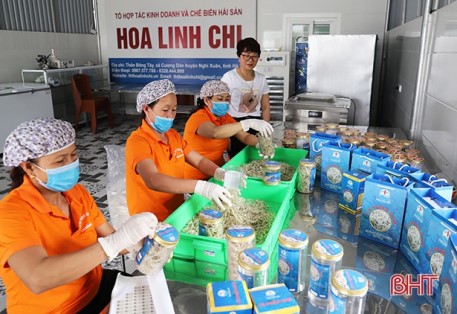 "Làng Hàn Quốc" ở Hà Tĩnh có 2 sản phẩm OCOP 3 sao