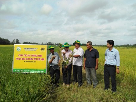 Hội thảo tổng kết mô hình canh tác lúa thông minh thích ứng biến đổi khí hậu vụ Đông Xuân 2020-2021