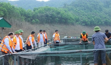 Triển vọng mô hình nuôi cá lồng trong lòng hồ Ngàn Trươi – Cẩm Trang