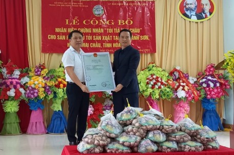 Hòa Bình: Đặc sản tỏi tía Mai Châu