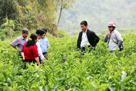 Người dân Dương Phong đồng thuận xây dựng nông thôn mới