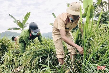 Cán bộ, chiến sỹ giúp ngưCán bộ, chiến sỹ giúp người dân Hương Sơn, Can Lộc khôi phục diện tích lúa đổ ngã do mưa lớn Trận mưa lớn vừa qua trên địa bàn huyện Hương Sơn đã làm cho 913 ời dân Hương Sơn, Can Lộc khôi phục diện tích lúa đổ ngã do mưa lớn