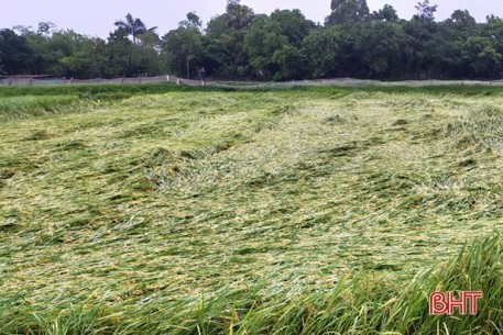 Cảnh báo lốc, sét, gió giật mạnh khu vực vùng núi Hà Tĩnh