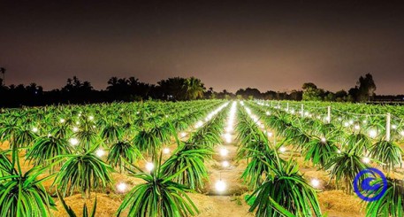 Huyện Chợ Gạo hướng đến xây dựng huyện nông thôn mới nâng cao