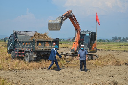 Đẩy nhanh tiến độ sản xuất vụ hè thu 2021