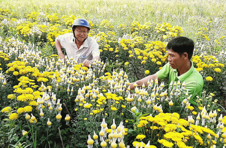 Chung sức xây dựng nông thôn mới