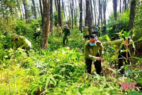 Phát dọn gần 3km đường băng cản lửa phòng chống cháy rừng ở Vũ Quang