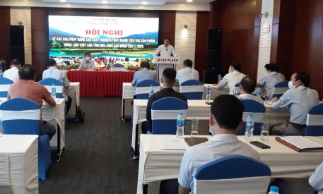 Hòa Bình: Tình hình sản xuất, tiêu thụ sản phẩm nông lâm thủy sản