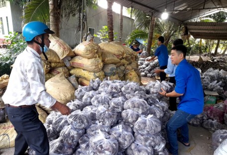 Đồng Tháp: Triển khai một số nhiệm vụ cấp bách hỗ trợ tiêu thụ nông sản trong bối cảnh dịch Covid-19