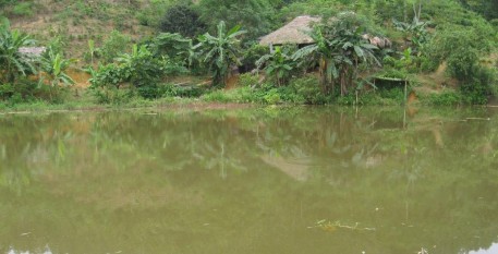 Hà Giang: Người dân xã Vô Điếm làm giàu từ nuôi trồng thủy sản