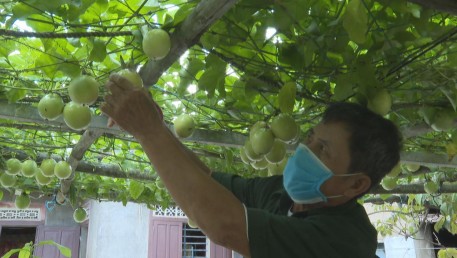 Thôn Phú Lợi, xã Kỳ Phú vừa thực hiện công tác phòng dịch, vừa đẩy mạnh phát triển kinh tế.