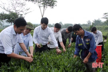 Quy hoạch Hương Sơn thành 3 vùng phát triển, thích ứng biến đổi khí hậu