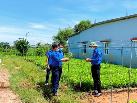 Huyện đoàn Cẩm Xuyên ra mắt mô hình kinh tế thanh niên và trao quyết định vay vốn Quỹ quốc gia về việc làm