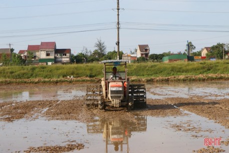 Công điện  về việc đẩy nhanh tiến độ sản xuất vụ Hè Thu 2021