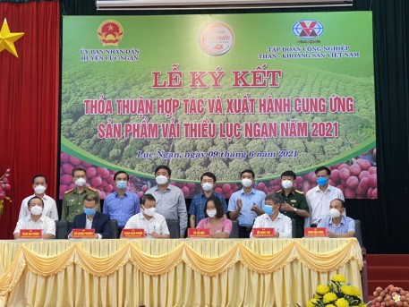 Bắc Giang đã tiêu thụ hơn 67.000 tấn vải thiều