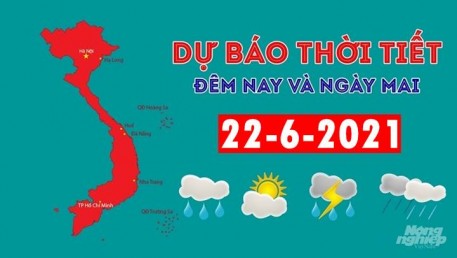 Dự báo thời tiết đêm nay và ngày mai 22/6/2021