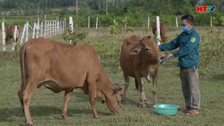 Một số vùng công bố hết dịch tái đàn trở lại