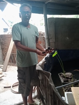 Lão nông làm kinh tế giỏi