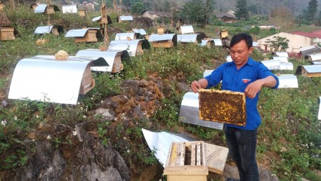 Thu lãi 250 triệu đồng mỗi năm từ nuôi ong mật bạc hà trên vùng đất khó