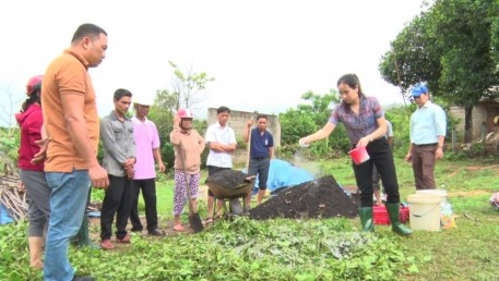 Quảng Trị: Xây dựng mô hình tái canh cây cà phê chè