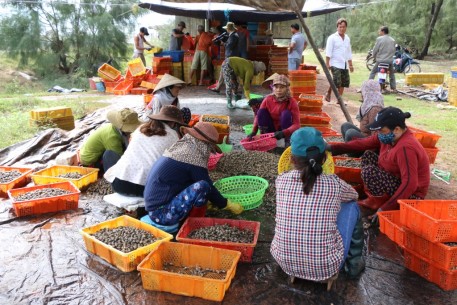 “Kho báu” dưới đáy hồ