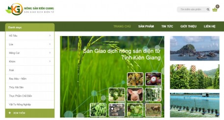 Kiên Giang: Xây dựng nhãn hiệu nông sản gắn với truy xuất nguồn gốc điện tử thúc đẩy phát triển OCOP
