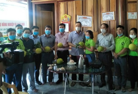 Đưa Bưởi Phúc Trạch lên các sàn thương mại điện tử