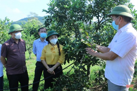 Vũ Quang cần bám sát chỉ đạo của tỉnh, tiếp tục linh hoạt trong xây dựng nông thôn mới