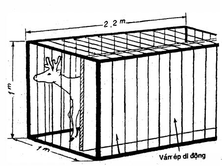 Hướng dẫn xây dựng chuồng trại nuôi hươu sao