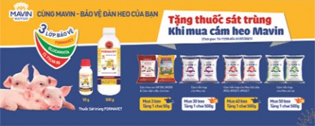 Cùng Mavin bảo vệ đàn heo của bạn