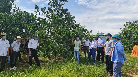 Học tập kinh nghiệm từ các mô hình điển hình