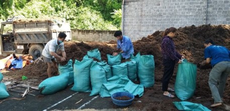 Hòa Bình: Xây dựng mô hình vỗ béo bò thịt và xử lý môi trường bằng chế phẩm sinh học