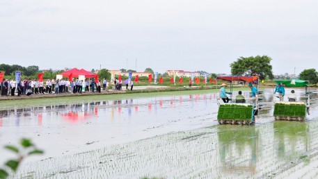 Nguyên nhân, tác hại và biện pháp xử lý phèn trong ao nuôi tôm  Nguyên nhân, tác hại và biện pháp xử lý phèn trong ao nuôi tôm