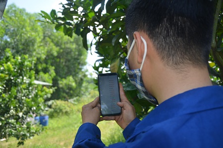 Hợp tác xã làm nông nghiệp thời công nghệ 4.0