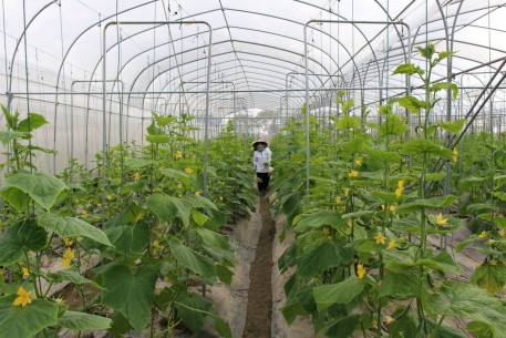 Bộ Nông nghiệp và PTNT - Trung ương Hội Nông dân Việt Nam: Phối hợp xây dựng hình ảnh người nông dân thế hệ mới