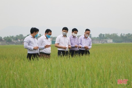 Nông nghiệp Hà Tĩnh đột phá lớn…