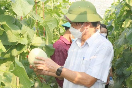 Hội thảo khoa học: Ứng dụng tiến bộ KH&CN nhân rộng mô hình sản xuất dưa lưới trong nhà màng tại huyện Hương Khê