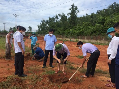 Huyện Kỳ Anh trồng thí điểm cây Thanh mai và cây Na thái trên đất Kỳ Xuân.