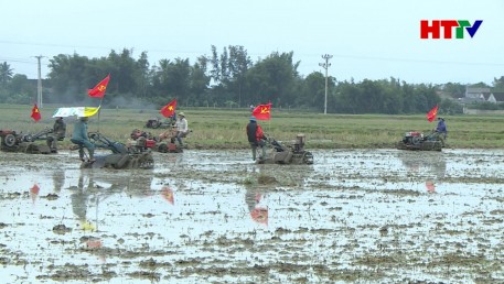 Tập trung tích tụ ruộng đất, hình thành những cánh đồng mẫu lớn